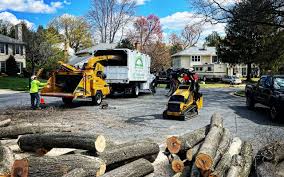 Best Utility Line Clearance  in Carlstadt, NJ